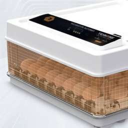 Incubator MS-70 ( PID-m7d1m40v ) [photo_00]