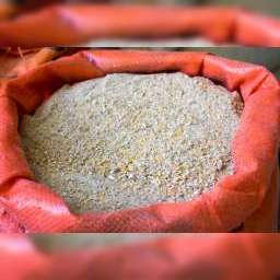 Furaj Pui 30 zile ( urluiala ) ( PID-5JE3UCSF0AO ) [photo_00]