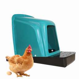 🐔 Cuib pentru gaini cu colector pentru oua 🥚 ( PID-5JECRGZDXU8 ) [photo_00]