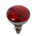 Bec infraroșu 150W thin glass infrared bulb ( PID-m7d1m3z3 ) [photo_00]