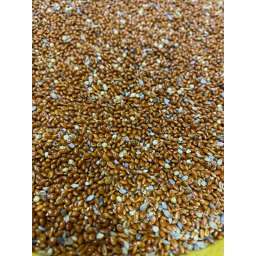 Furaj Mei boabe ( PID-5JE4U6RM1IG ) [photo_00]